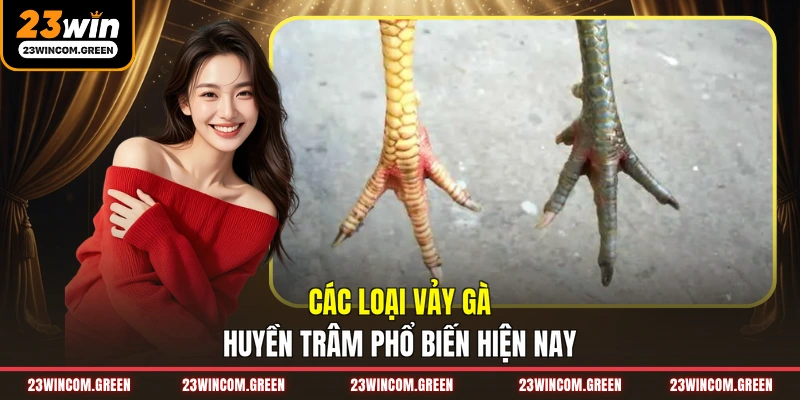 Các loại vảy gà Huyền Trâm phổ biến hiện nay