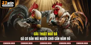 Các thuật ngữ đá gà