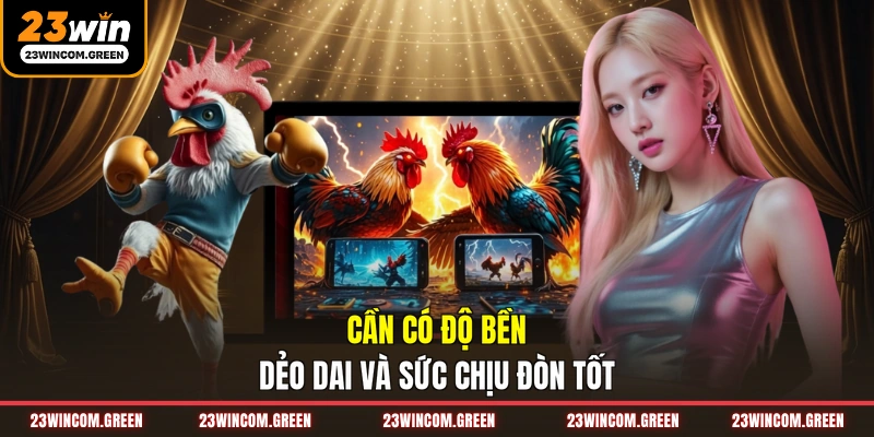 Cần có độ bền dẻo dai và sức chịu đòn tốt