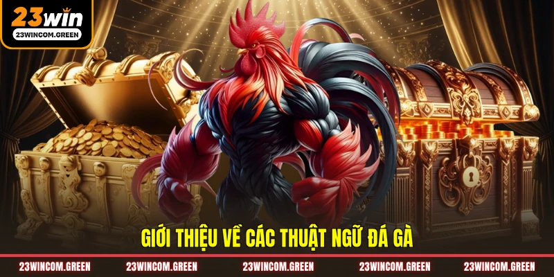 Giới thiệu về các thuật ngữ đá gà