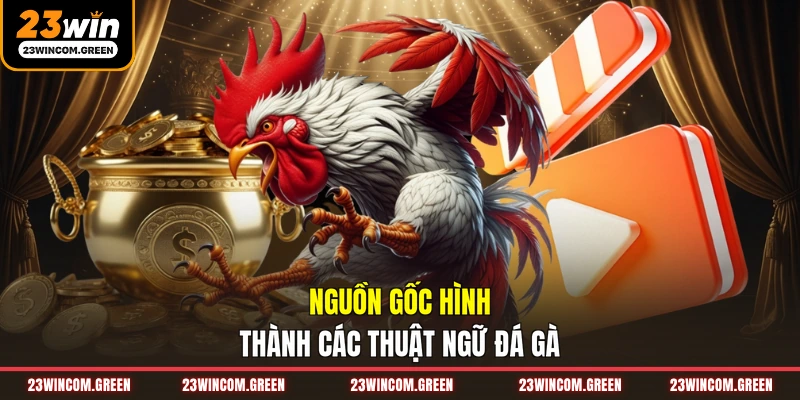 Nguồn gốc hình thành các thuật ngữ đá gà