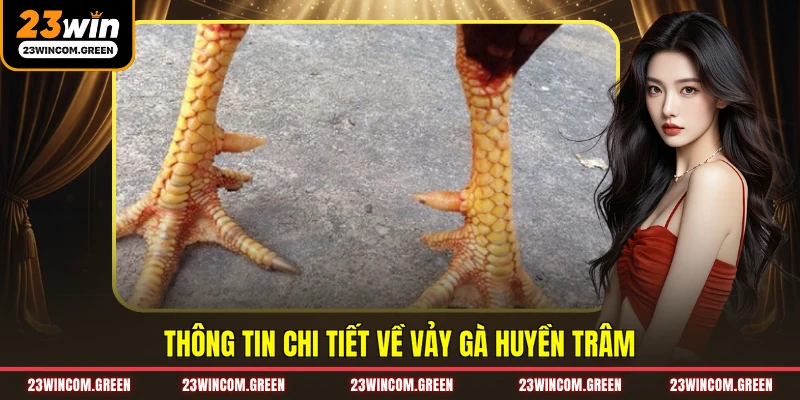 Thông tin chi tiết về vảy gà Huyền Trâm