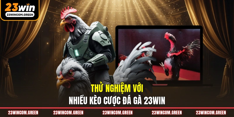 Thử nghiệm với nhiều kèo cược đá gà 23WIN