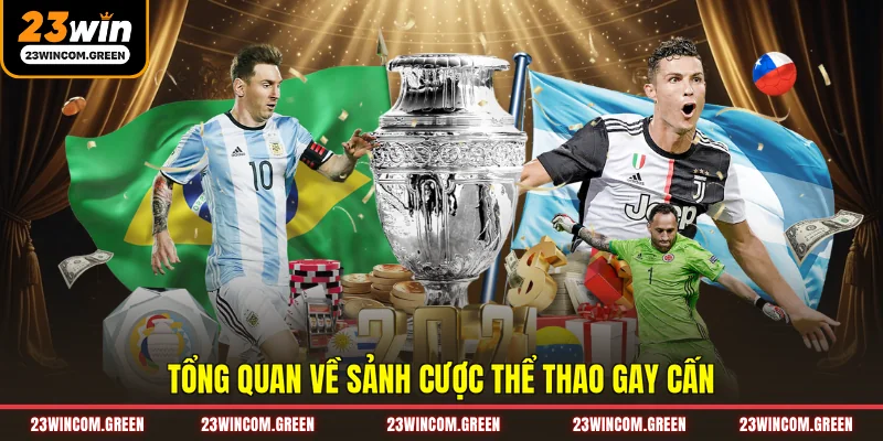 Tổng quan về sảnh cược thể thao gay cấn