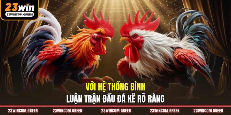 Với hệ thống bình luận trận đấu đá kê rõ ràng
